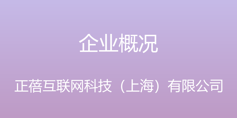 企业概况 - 正蓓互联网科技（上海）有限公司